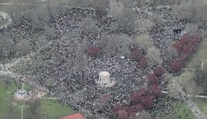 Hands off boston